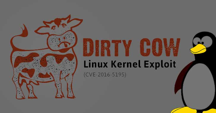 Dirty Cow, Linux Kernel Exploit