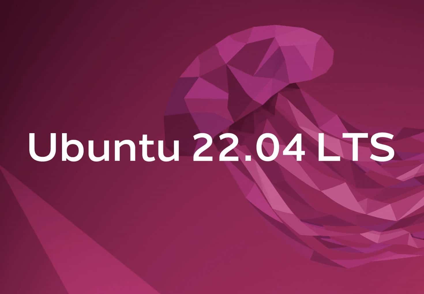 Ubuntu 22.04 LTS (Jammy Jellyfish)